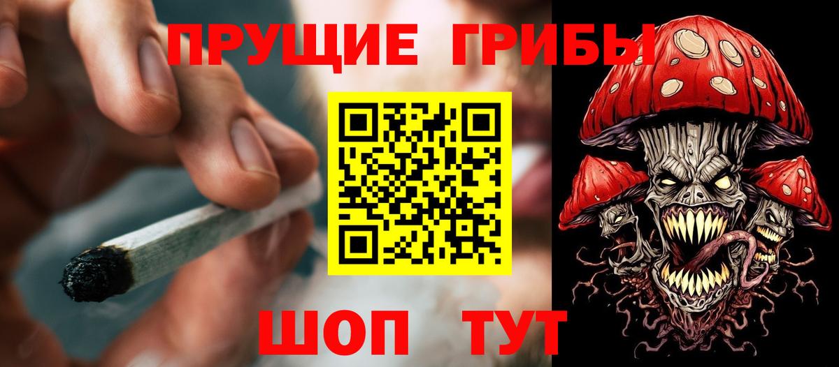 Псилоцибиновые грибы Psilocybine cubensis  Вход с VPN  Будённовск 