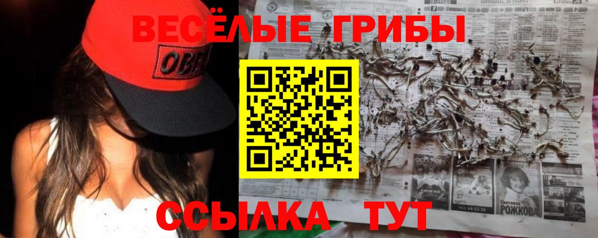 Галлюциногенные грибы Psilocybine cubensis Будённовск